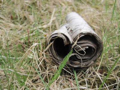 This is a roll of tree bark.