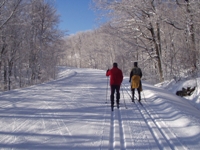 Skitur i Gatineau Park, Quebec - 2005.