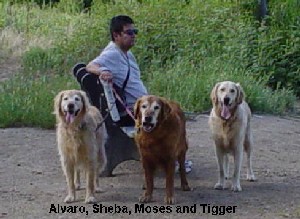 Pets in the Wheat Ridge Greenbelt.