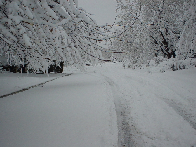 28th Avenue - Day 1