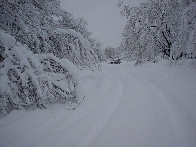 28th Avenue - Day 2.