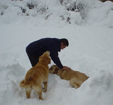 Playing