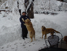 Alvaro and Tigger with Sheba.