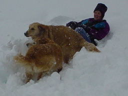 Snowball fight.