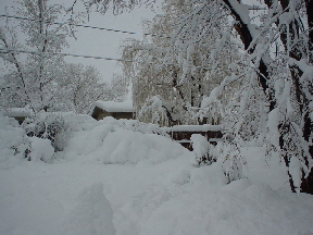 The backyard covered in snow.
