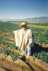 Alvaro as a potato farmer.