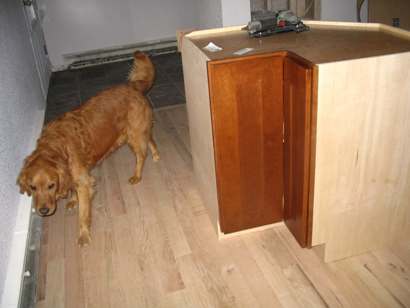 New kitchen cabinets.