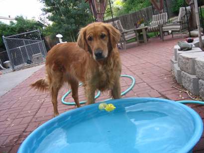 New tiny wading pool.