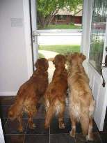 Security guards.
