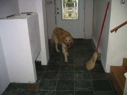 New flooring and door.