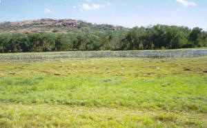 Angbangbang Billabong.  Not much water here!