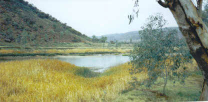 The scenic 'Boggy Hole' in Finke River National Park.