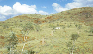 Yes, there is a road.  We're not 'bush-bashers'!