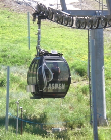 Taugbane i Aspen
