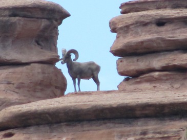 Colorado National Monument