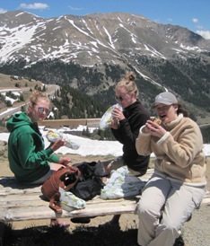 P Independence Pass