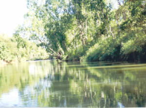 Boating on East Alligator River - Keep your toes and fingers in the boat!!