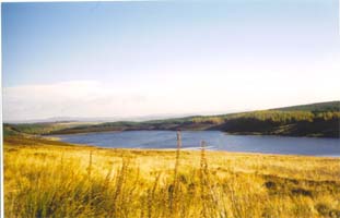 A trek from the Bunkhouse to Loch Glassie.