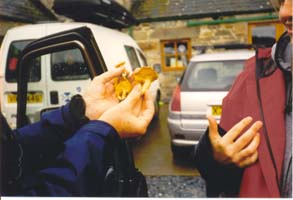 Hans showing Hild the catch of the day: mushrooms.