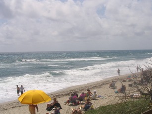 Beach life at the Atlantic Ocean.