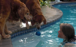 Kristin in the swimmingpool. Austin and Reina dropping the ball.