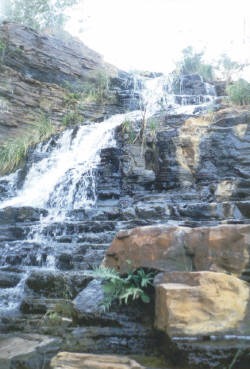 Fortescue Falls - Finally some water!