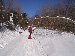 Hild avoids a tree that is leaning in over the track - ice and snow weighs a lot!