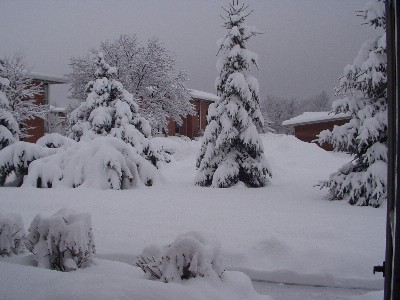 View from our front door.