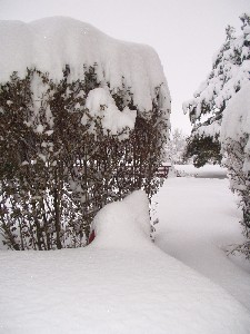 View from our deck.