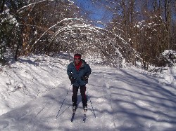 Rob skis under a set of trees nearly blocking the track after the ice-storm.