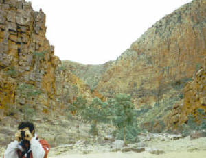 Ormiston Gorge.