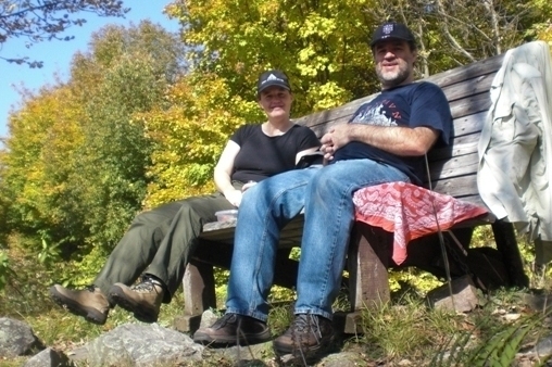 Look up in Gatineau Park