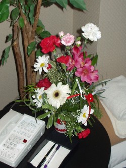 Flowers from Alvaro to Kristin.