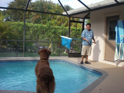 Alvaro cleans pool