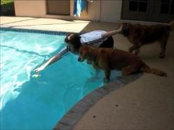 Playing by the pool