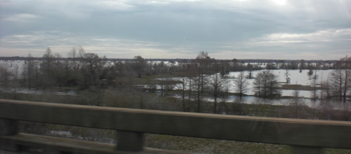 Swamps along the road in Louisiana