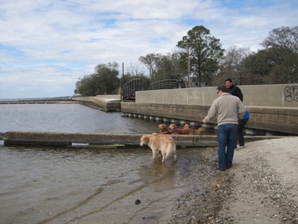 Everyone in Lake Pontchatrain