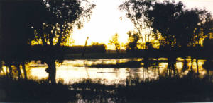 Can you see the croc? - or was it a floating stick?  Sunset at Yellow Water.
