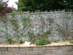 The wall and the flowers and plants growing and climbing the fence.