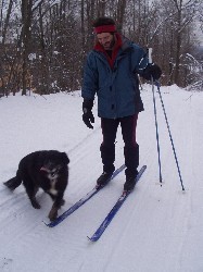 While in the US, Rob also gets plenty of cross-country skiing in - here at Conneticut Hill with Mrs. Hamilton the tag-along semi-stray dog.