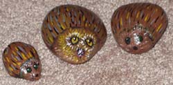 Hedge hogs