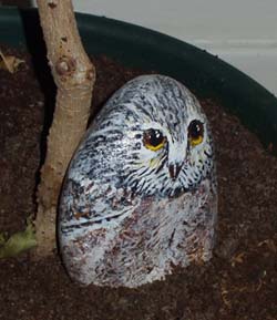 The owl guarding the plant... from the infestation?