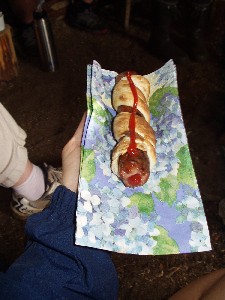 An excellent example of a grilled sausage with custom fitted bun.