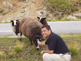 Alvaro talks to the sheep.