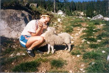 Hild and a lamb