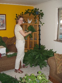 Hild builds a Christmas tree