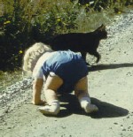 Ann Kristin og den frste katten, Pussi, 1965.
