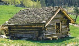 Olav har restaurert denne gamle bua til vedskjul og lager plass for Systog.