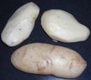 White potatoes